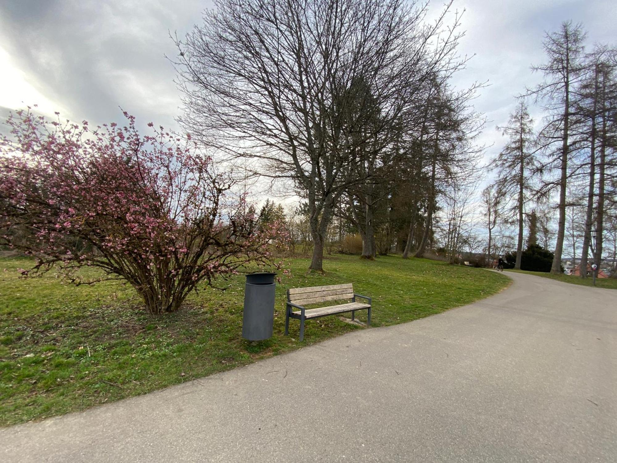 Schwarzwaelder 3 Zimmer Wohnung In Villingen Mit 2 Schlafzimmer Exterior foto
